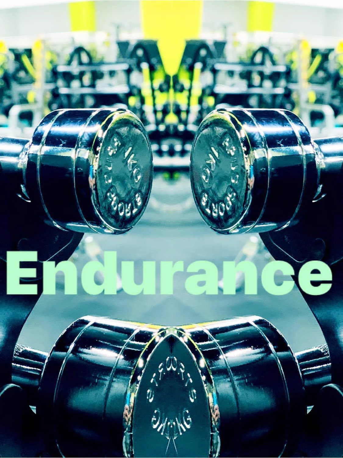 La Endurance Fitness Black Friday ține tot anul